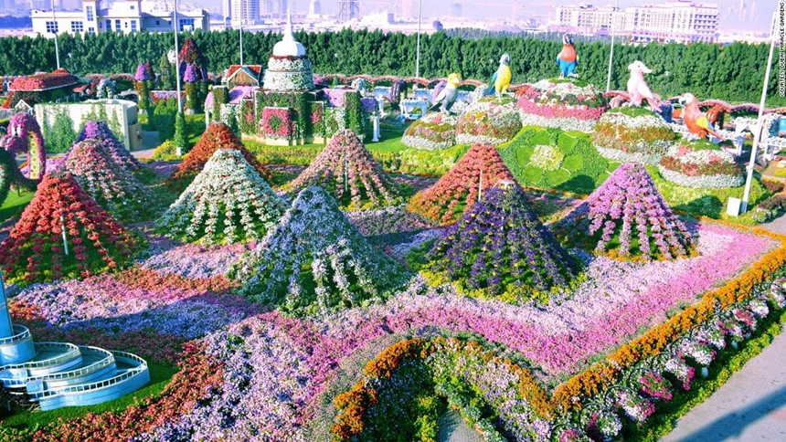 65[-]triệu[-]bông[-]hoa[-]rực[-]rỡ[-]giữa[-]Dubai[-]khô[-]cằn